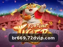 br669 2